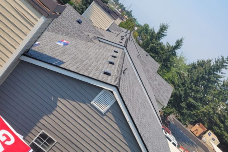 Lainez Professional Roofing LLC